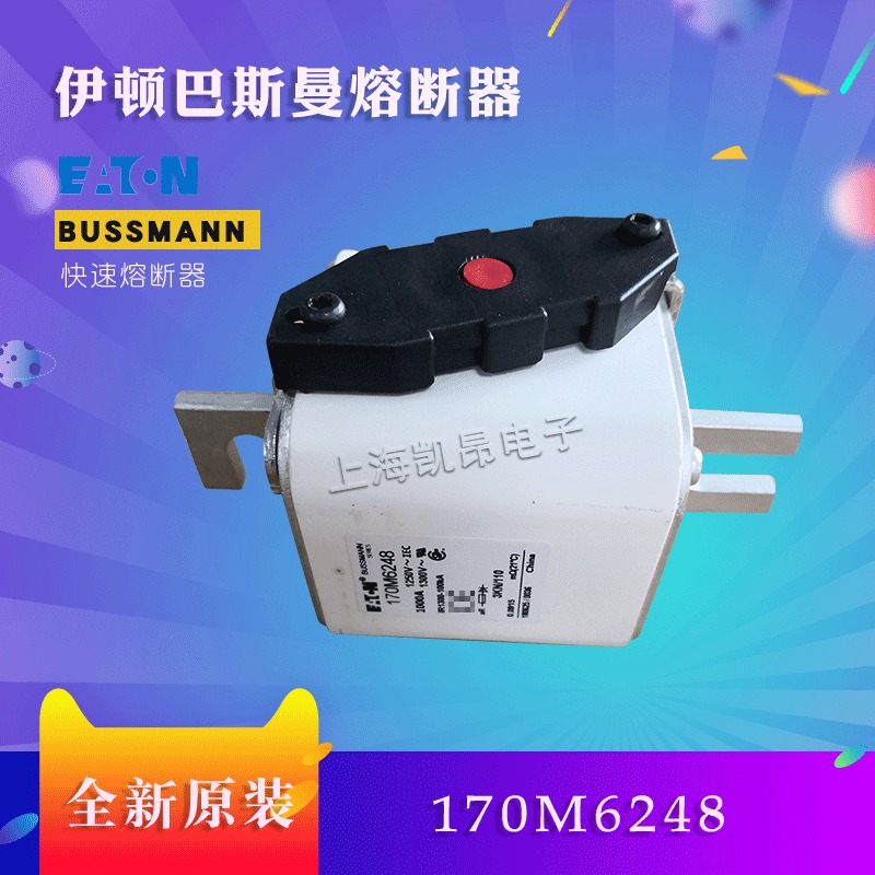 美国巴斯曼快速熔断器170M6258 170M6259全新原装现货