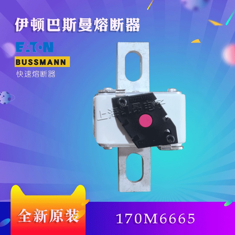美国伊顿BUSSMANN巴斯曼170M6689  170M6688熔断器现货直拍
