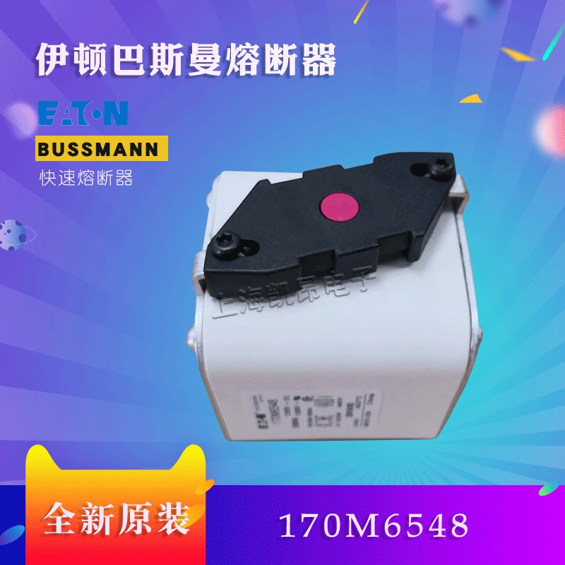 美国伊顿BUSSMANN巴斯曼 170M5495 170M5494熔断器现货直拍