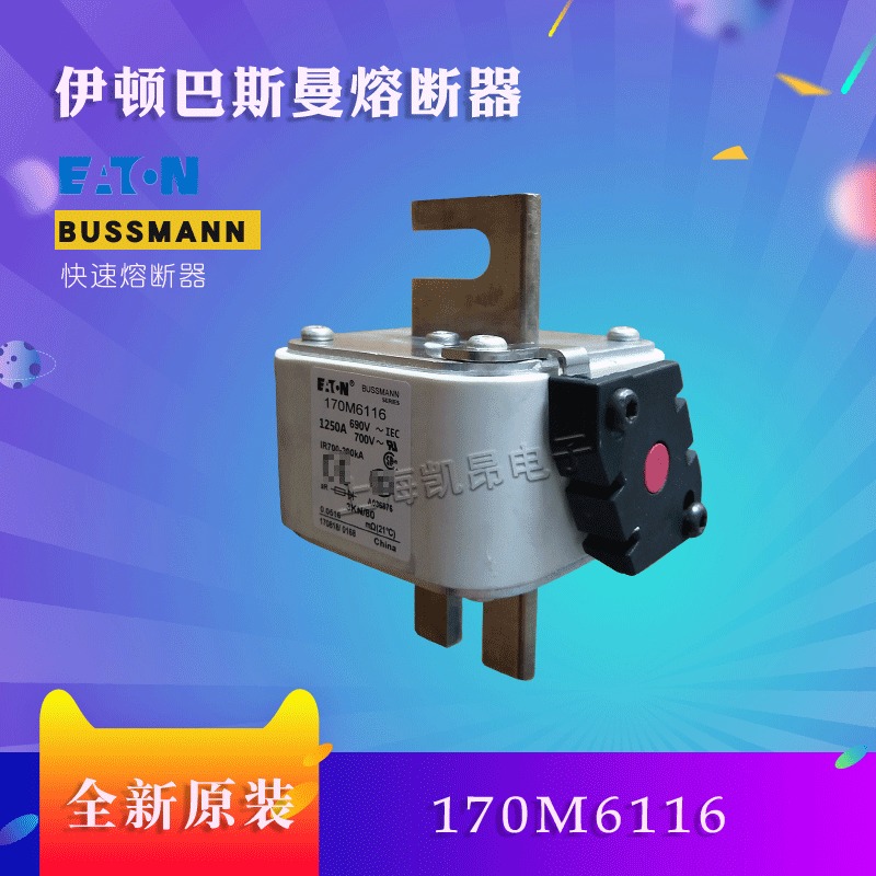 美国巴斯曼快速熔断器170M6108  170M6109全新原装现货