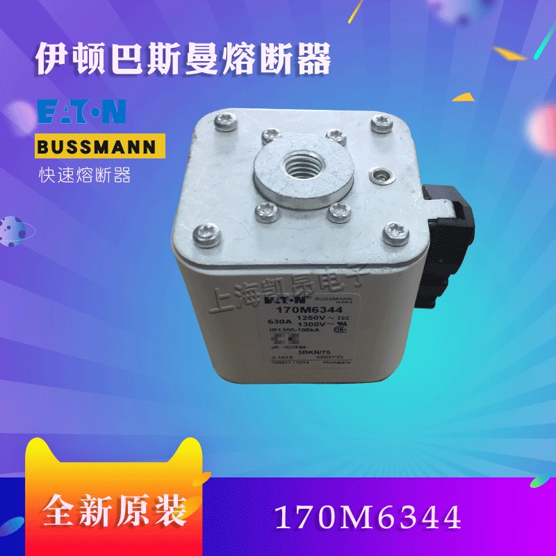美国伊顿BUSSMANN巴斯曼170M6359  170M6358快速熔断器现货直拍