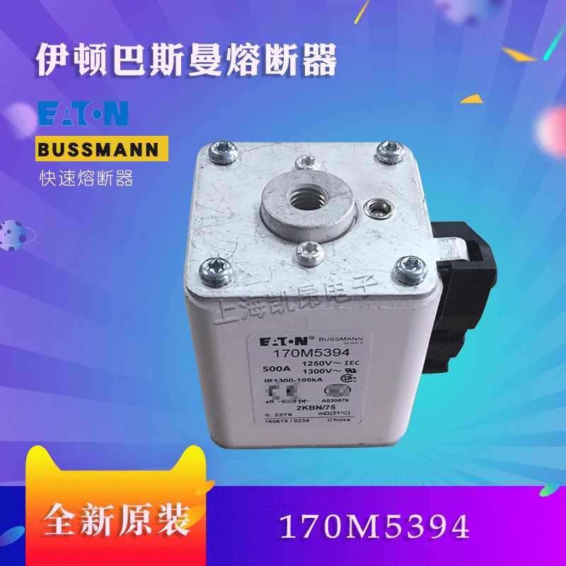 美国伊顿BUSSMANN巴斯曼170M5389  170M5388熔断器现货直拍