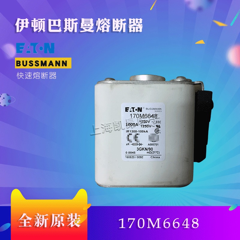 美国伊顿BUSSMANN巴斯曼170M6649  170M6648熔断器现货直拍