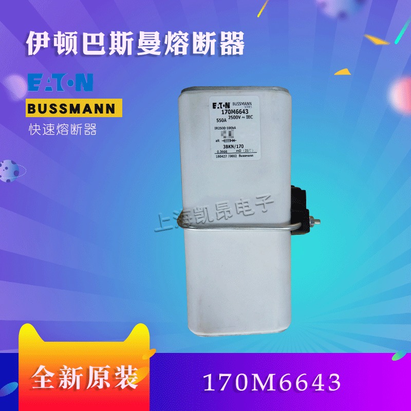 美国伊顿BUSSMANN巴斯曼170M6645  170M6644熔断器现货直拍