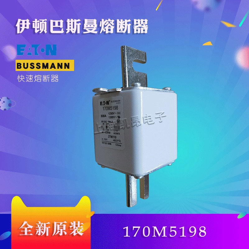 美国巴斯曼快速熔断器170M5192 170M5193全新原装现货