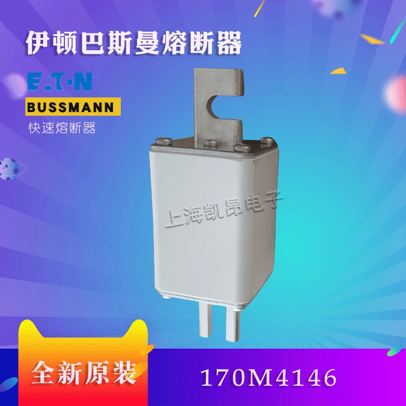 美国巴斯曼快速熔断器170M3146 170M3147全新原装现货