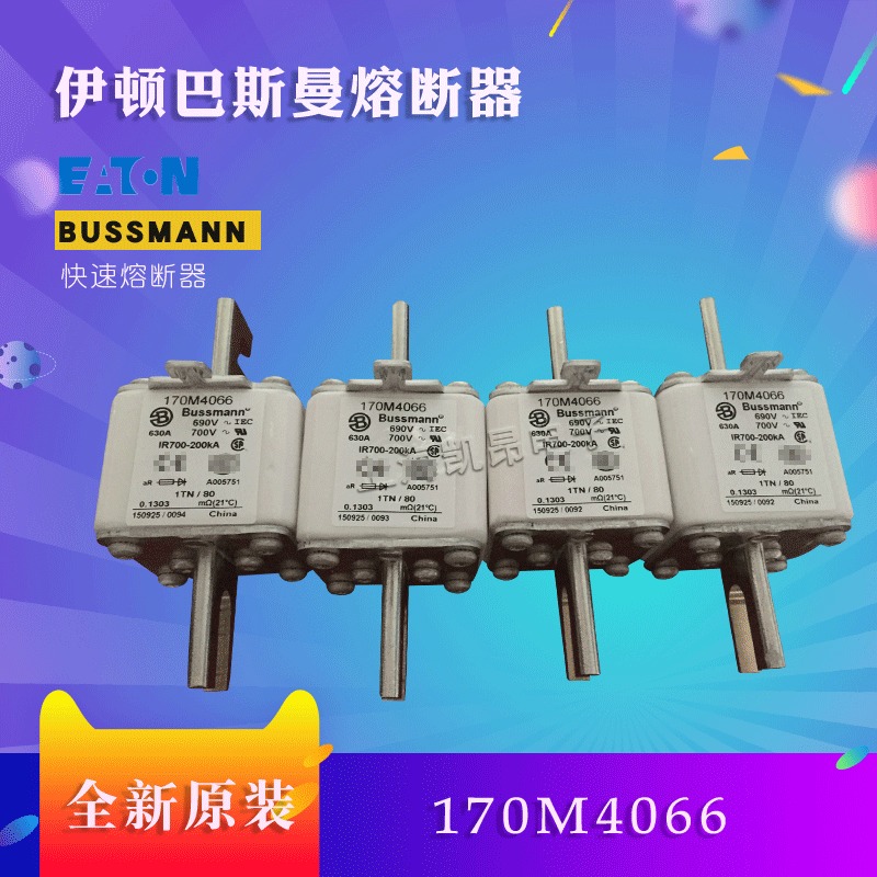 美国巴斯曼快速熔断器170M5060  170M5061全新原装现货