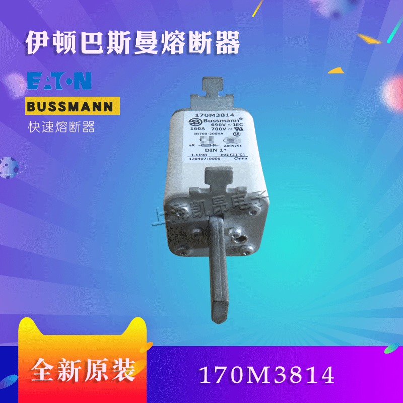 美国巴斯曼快速熔断器 170M3808全新原装现货