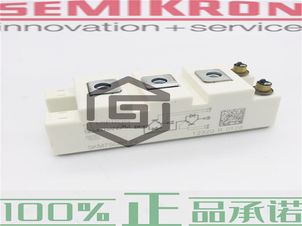 供应 SEMIKRON赛米控原装进口SKM100GB176D、SKKR400/0.2-BVR全新模块