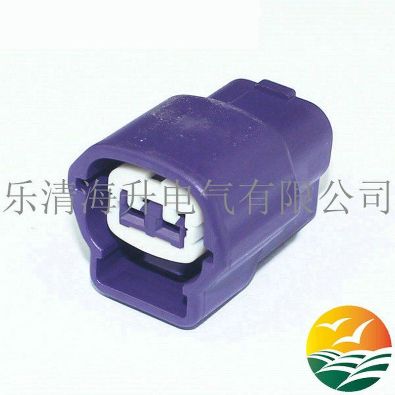 2孔紫色连接器接插件6189-0778