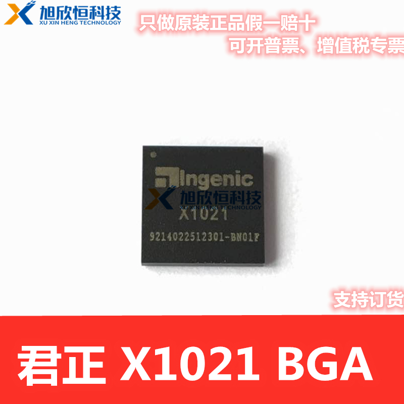 微处理器X1021 BGA 提供技术支持
